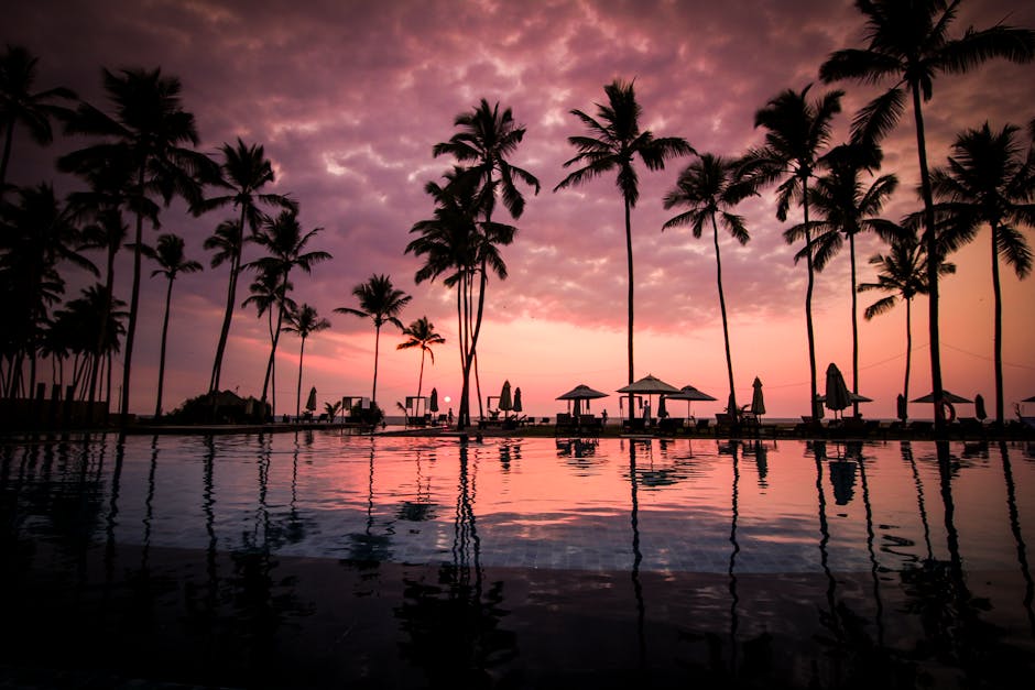 Silhouettes of palm trees at a resort pool during a stunning tropical sunset